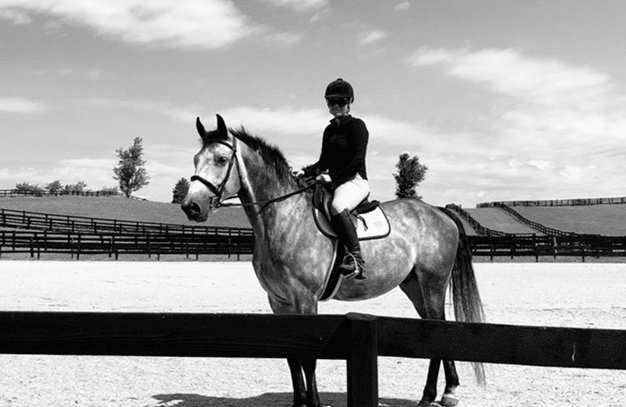 What We Do at Equestrian Destinations