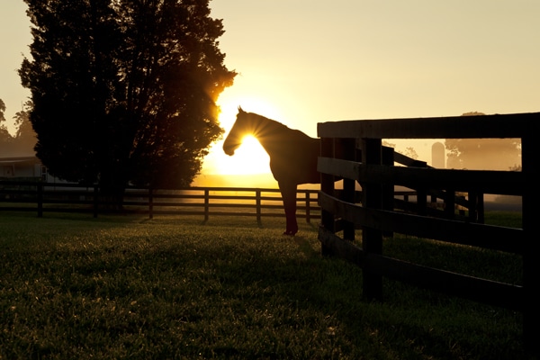 Salamander Resort & Spa