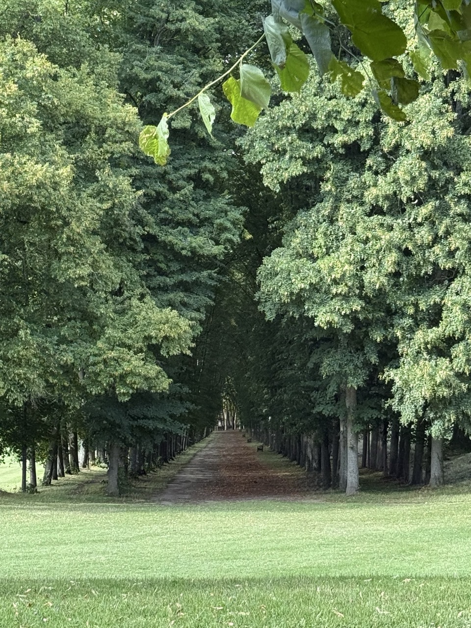 Safaris-Unlimited-africa-Masai-Mara-horseback