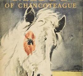 A Few Favorite Marguerite Henry Stories