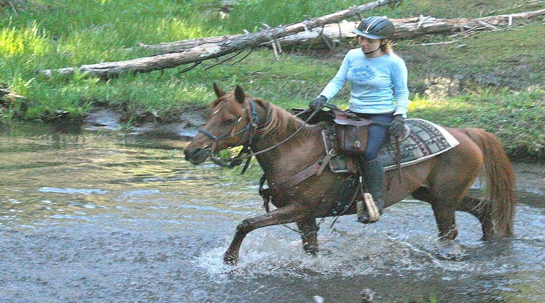 Marble Mountain Ranch