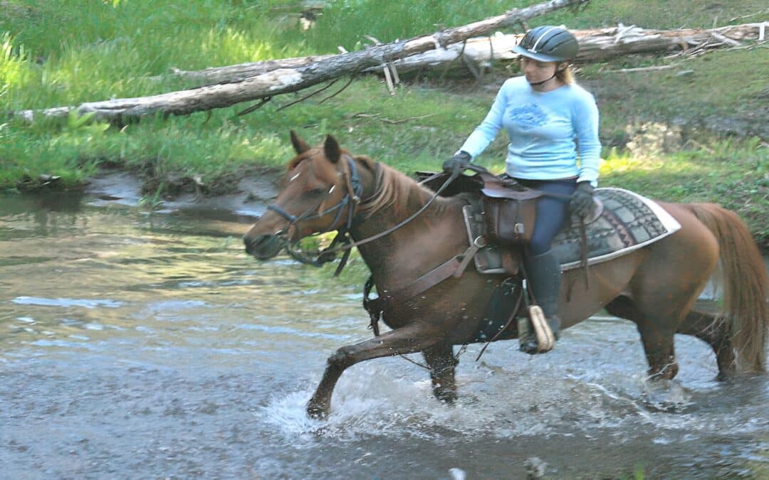 Marble Mountain Ranch