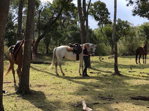 Safaris-Unlimited-africa-Masai-Mara-horseback