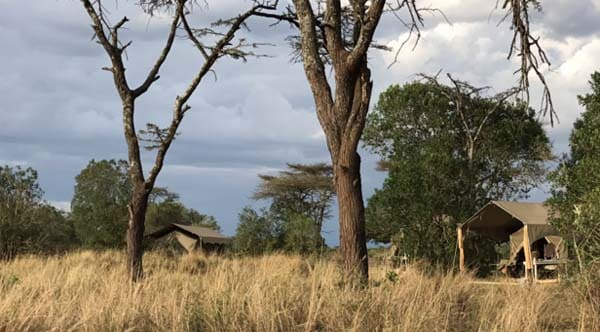Safaris-Unlimited-tents-Masai-Mara