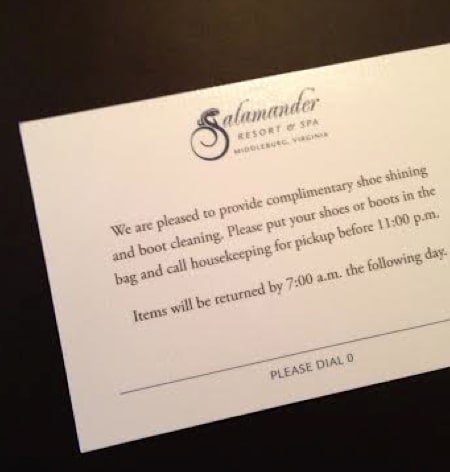 boot-cleaning-salamander