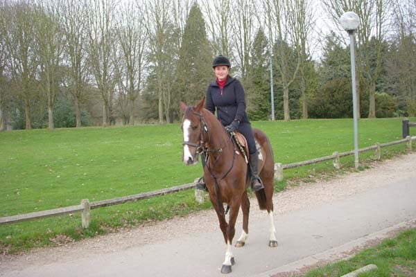 ca and horse at gate