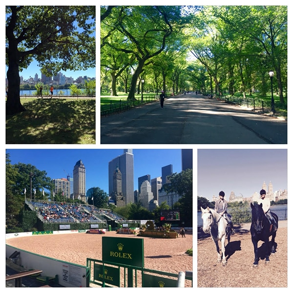 central-park-horse-show-equestrian