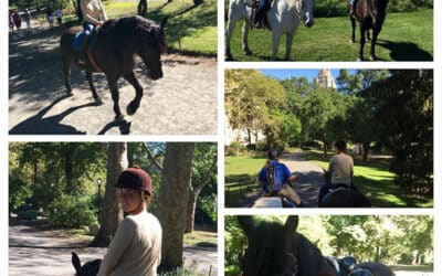 Horseback Riding in New York’s Central Park
