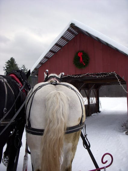 covered_bridge_vermont_horses