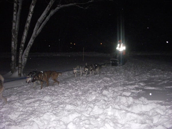 dog_sled_vermont