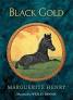 Misty_of_Chincoteague_cover