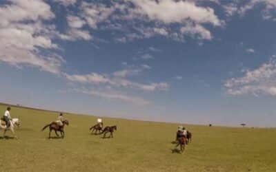 Exploring Kenya’s Wildlife on Horseback