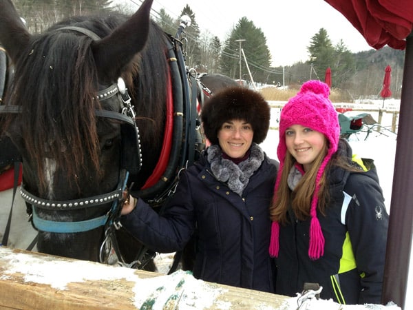 gentle_giants_vermont_horses