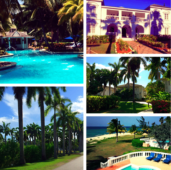 half-moon-jamaica-collage