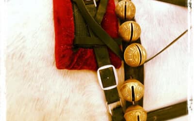 Vermont Horse Riding & Winter Horse Drawn Sleigh Rides