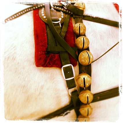 Vermont Horse Riding & Winter Horse Drawn Sleigh Rides