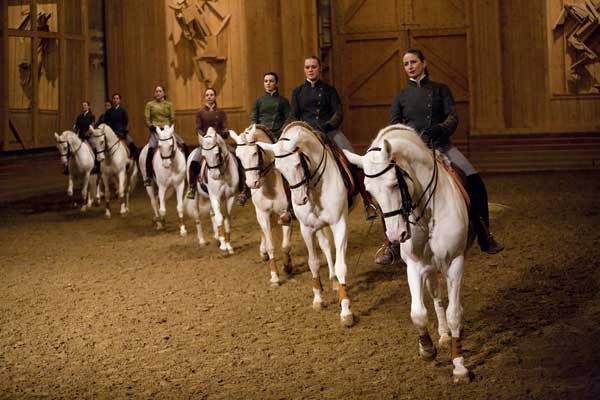 Visiting the Academy of Equestrian Art in Versailles