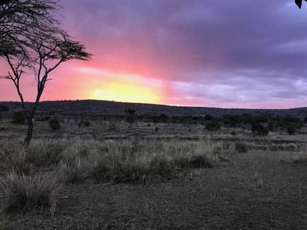 into-africa-sunset