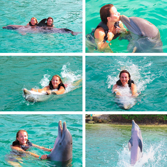 jamaica-dolphins