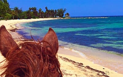 Horseback Riding in the Ocean at Jamaica’s Half Moon Resort
