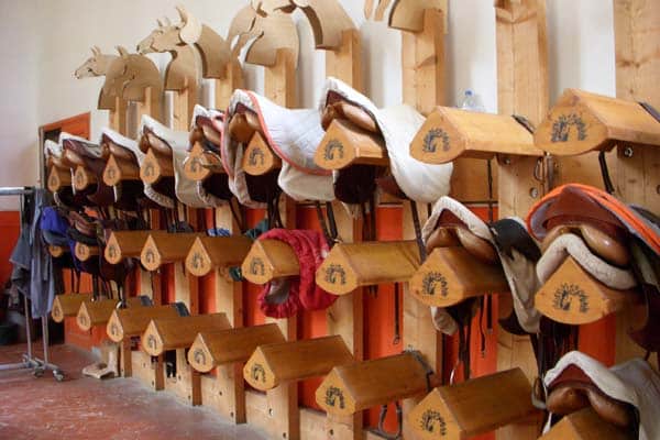 saddles1
