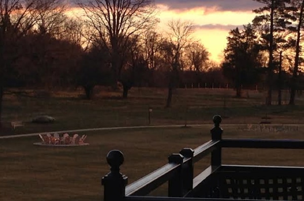 salamander-farms-sunset