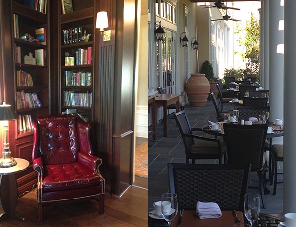 salamander-interior(1)