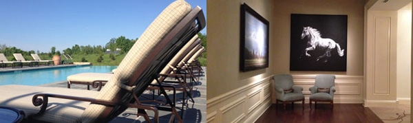 salamander-pool-horse(1)