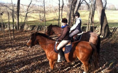 A Luxury Equestrian Vacation at Salamander Resort & Spa, Virginia