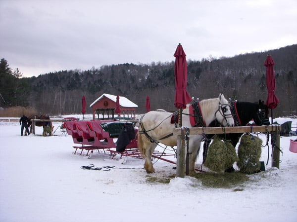 vermont_horse_sleigh