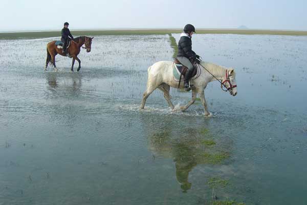 Safaris-Unlimited-africa-Masai-Mara-horseback