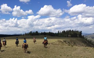 Rainbow Trout Ranch