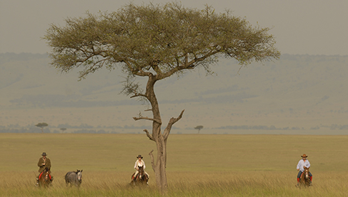 safaris unlimited