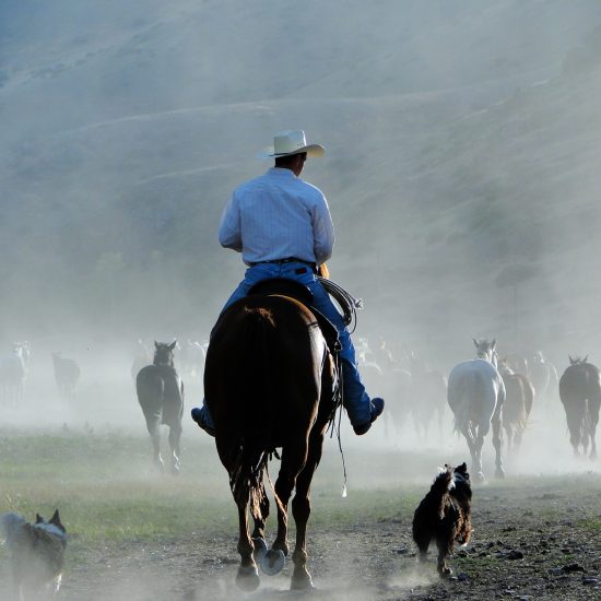 Stagecoach Trails Guest Ranch