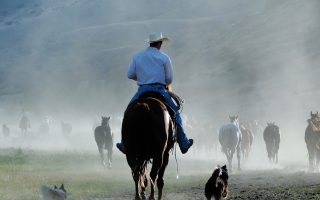Rocking Z Guest Ranch