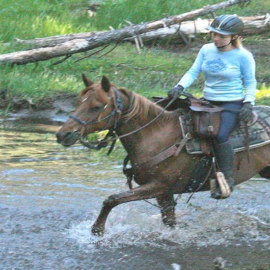 Marble Mountain Ranch