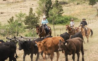 Sylvan Dale Guest Ranch