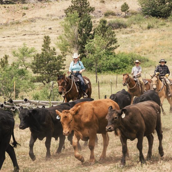 Sylvan Dale Guest Ranch