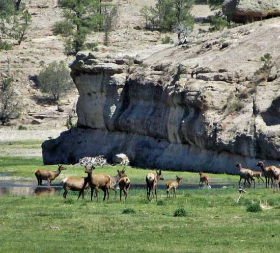 Geronimo Trail Guest Ranch