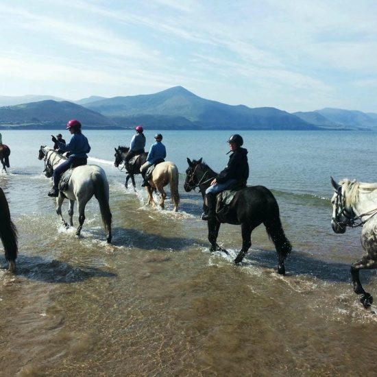 Killarney Riding Stables