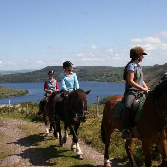 Killarney Riding Stables