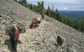 Stone Horse Mongolia