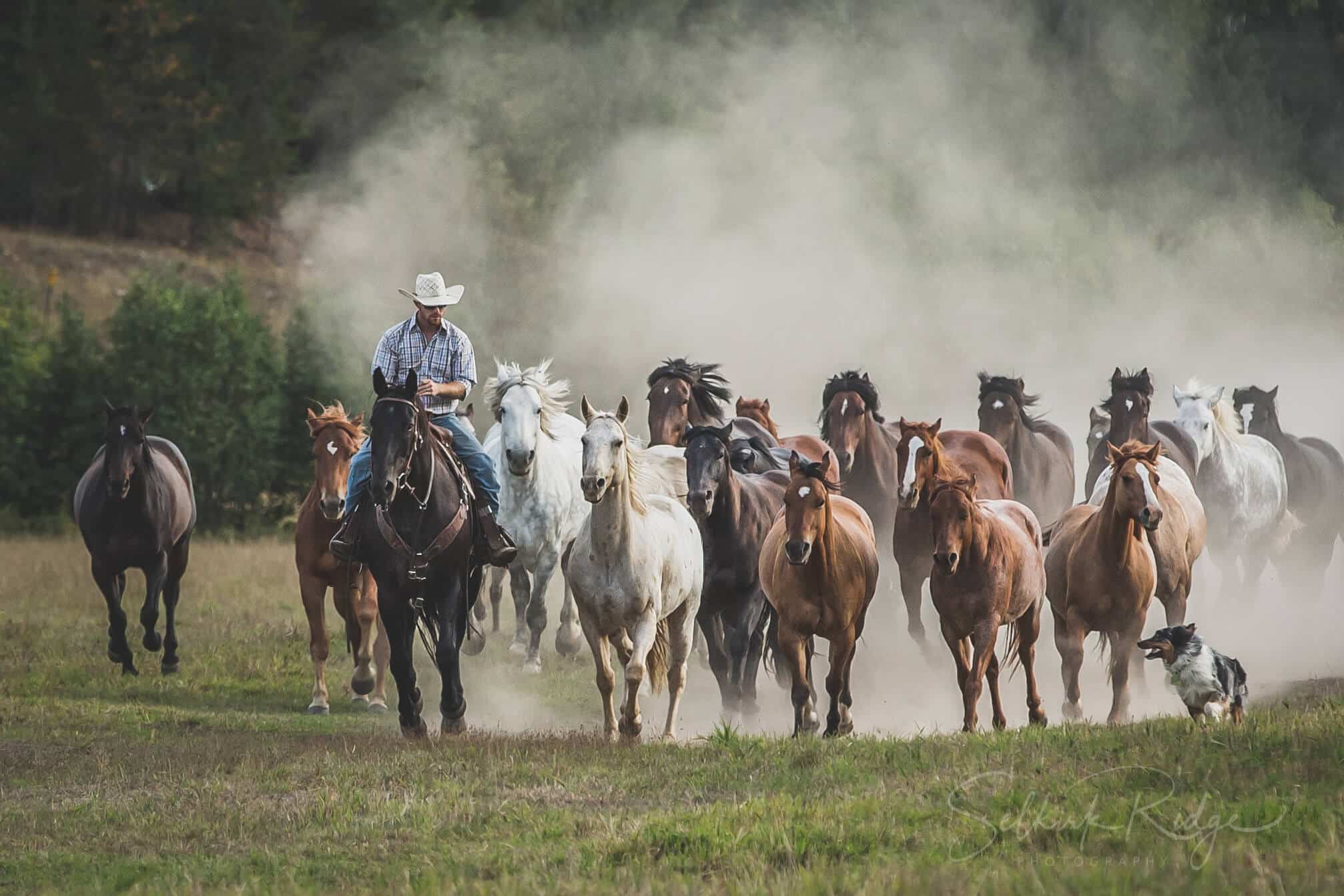 Western Pleasure Guest Ranch