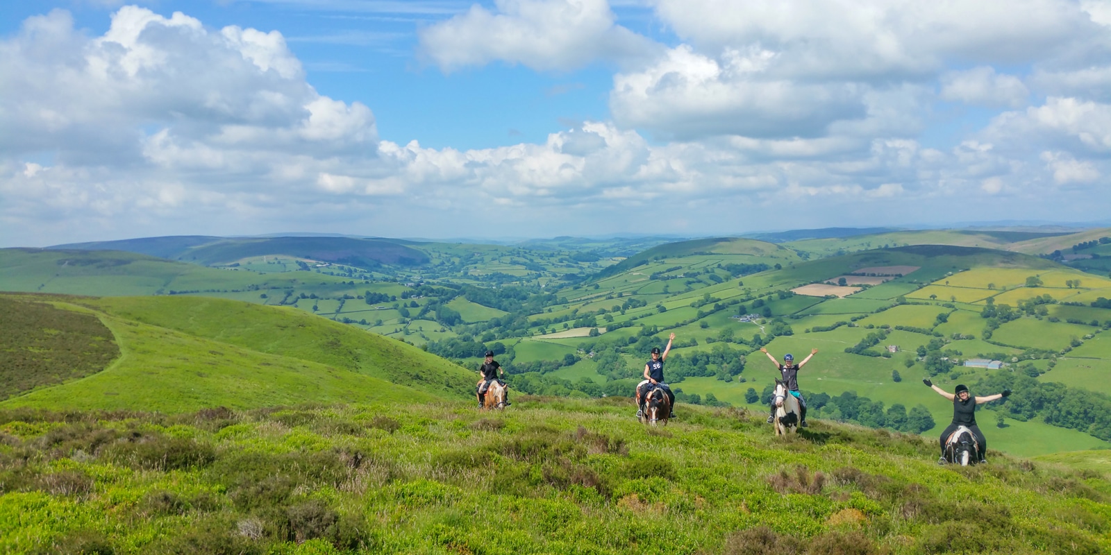 FreeRein Riding Holidays