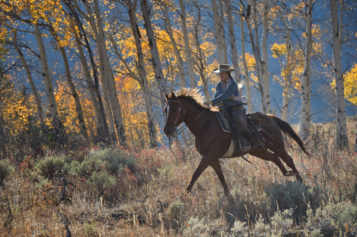 The Hideout Lodge & Guest Ranch