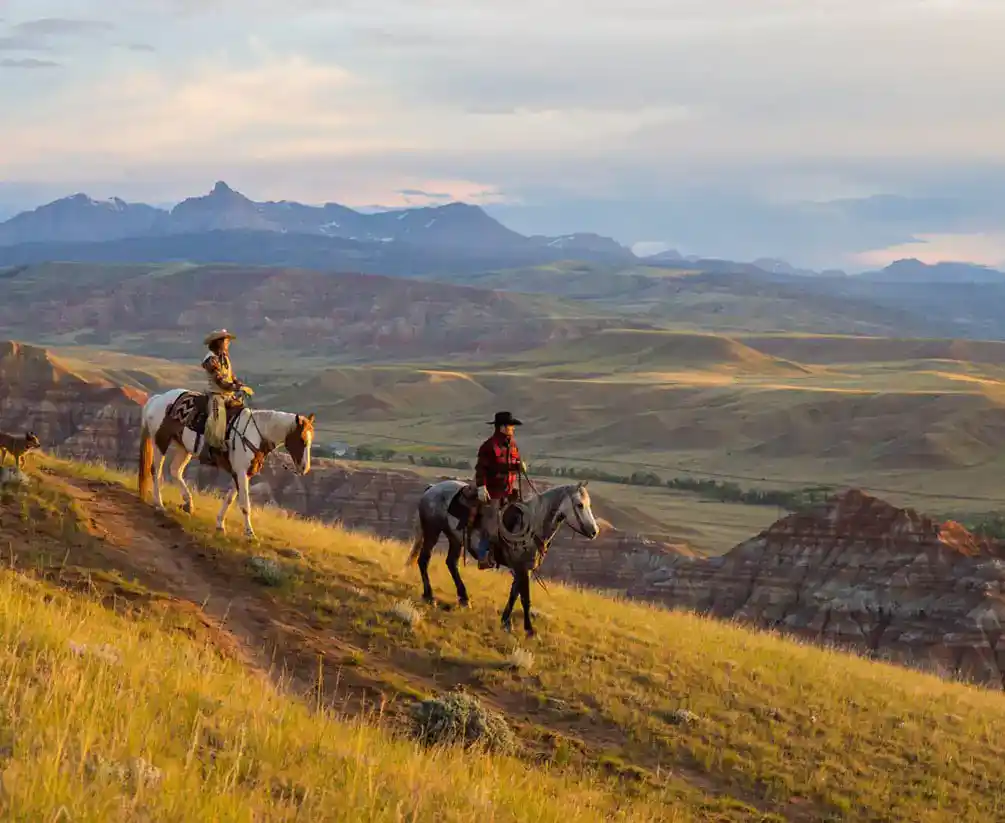 CM – Ranch