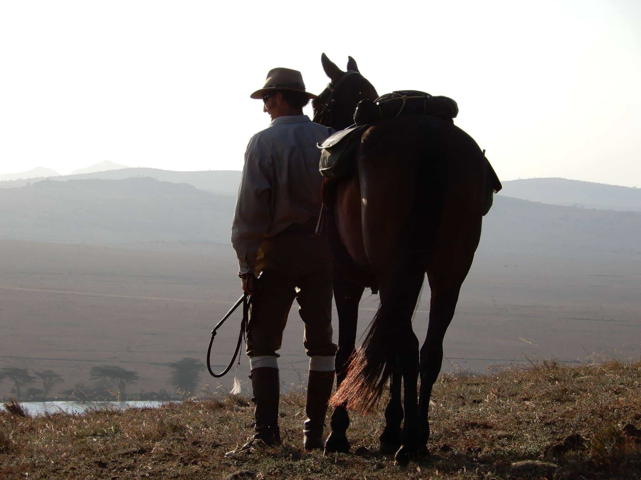 Safaris Unlimited