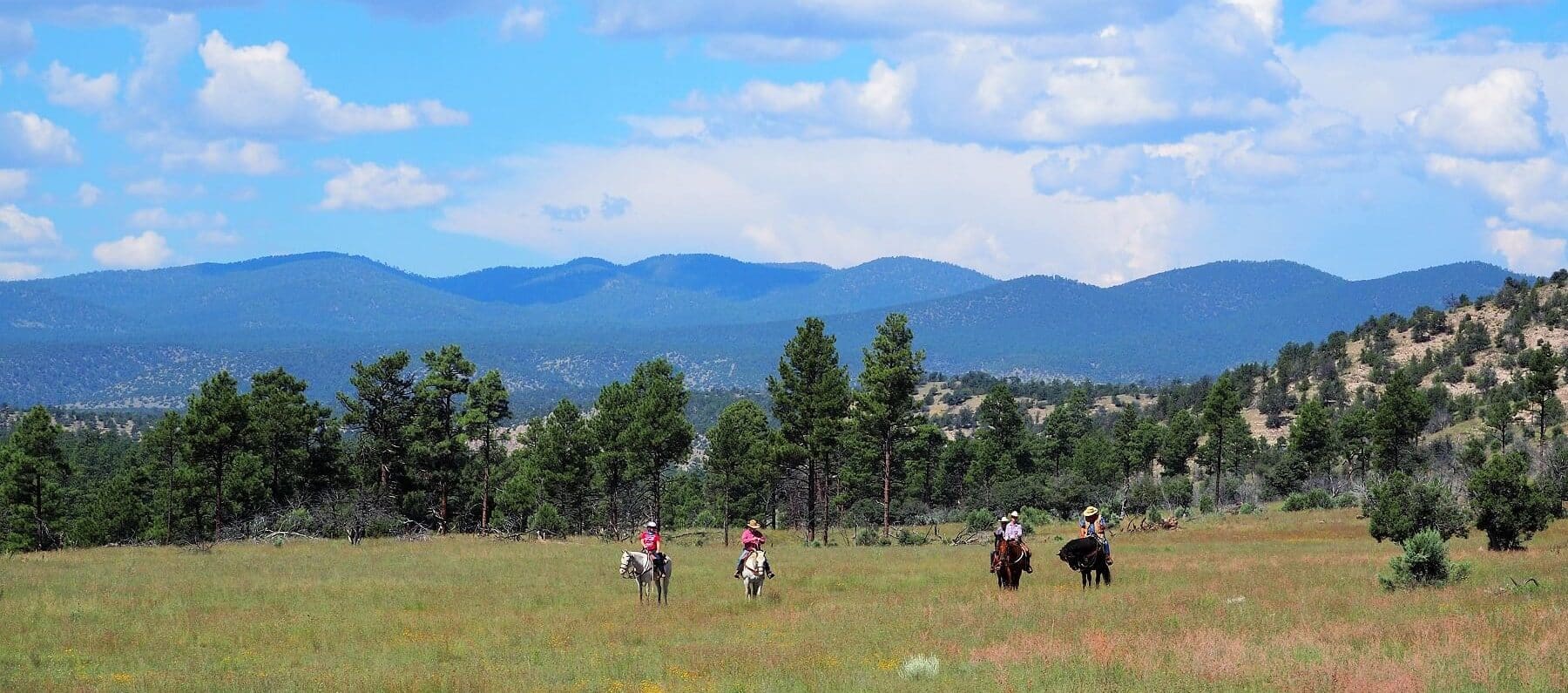 Geronimo Trail Guest Ranch