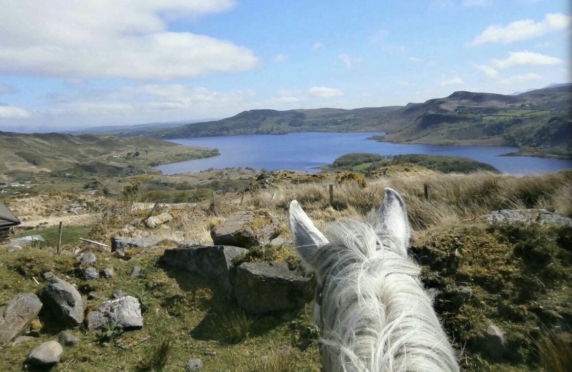 Killarney Riding Stables