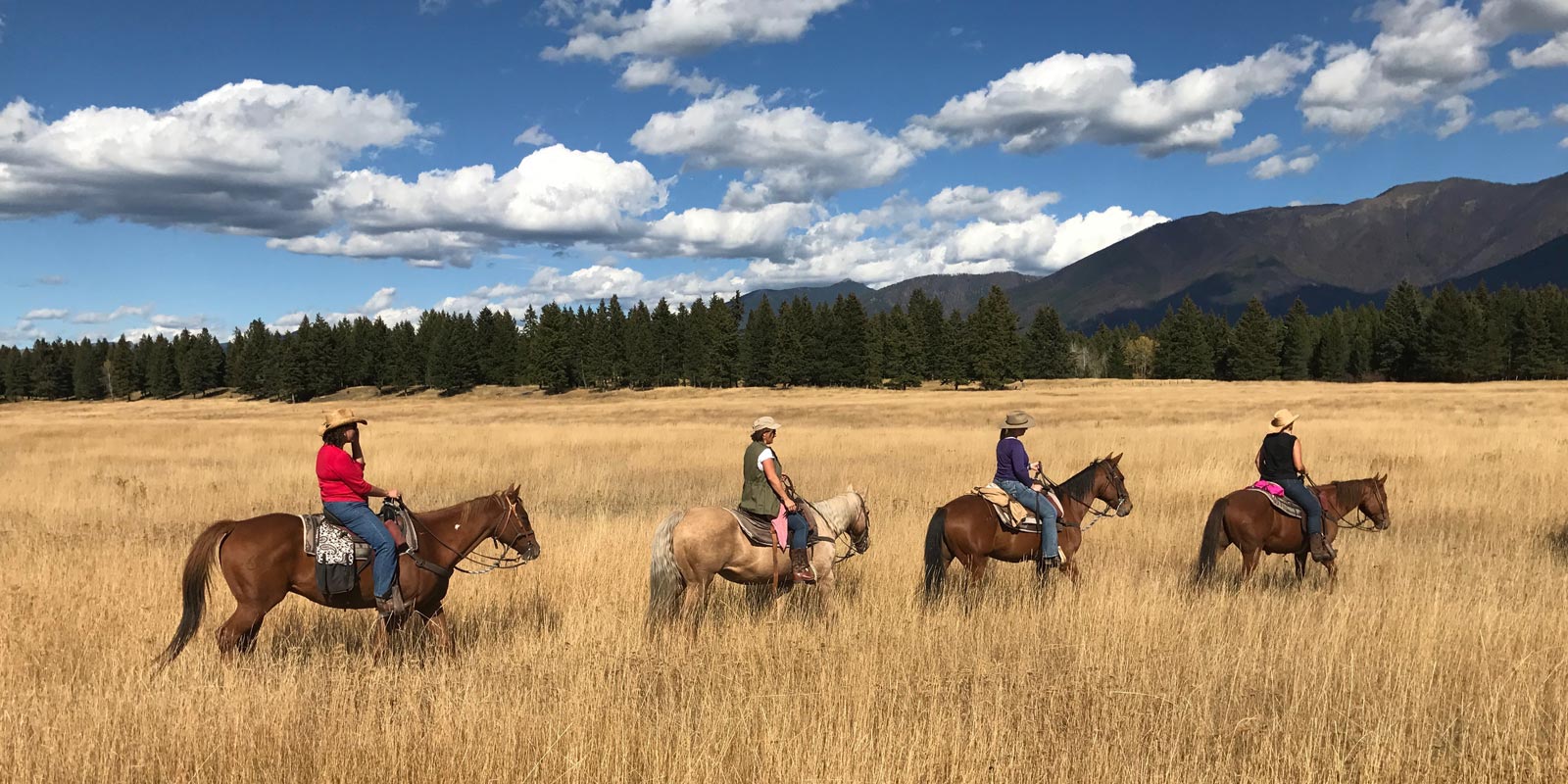 Bar W Guest Ranch
